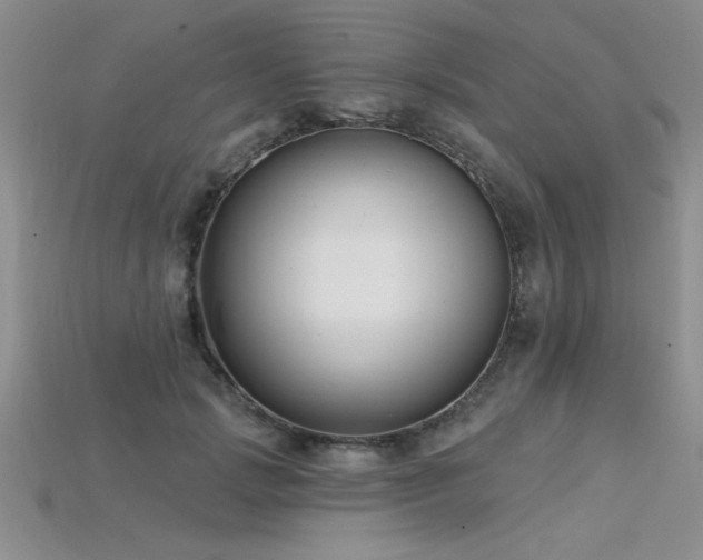 X0000115830749200911131505