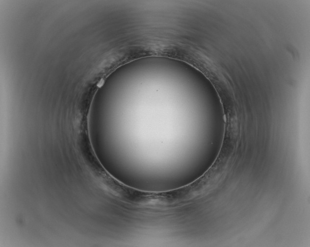 X0000115830750200911131505