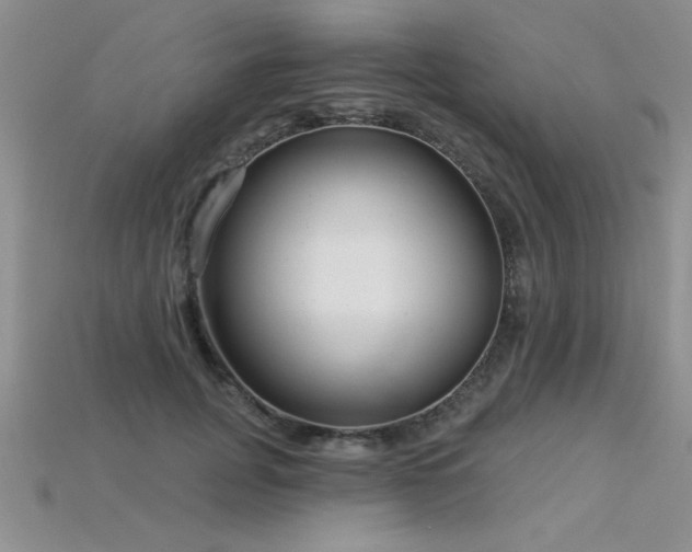 X0000115830751200911131505