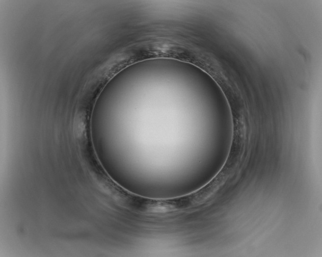 X0000115830754200911131505