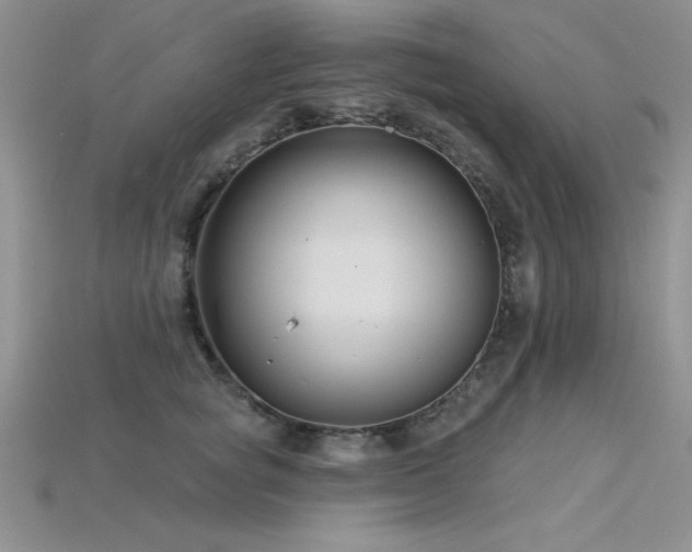 X0000115830757200911131505