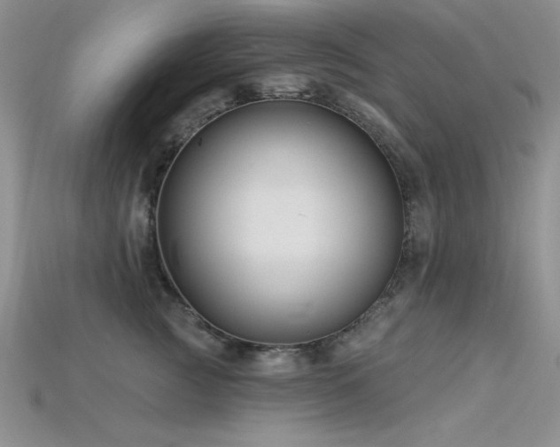 X0000115830761200911131505