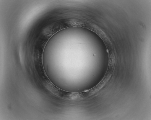 X0000115830762200911131505