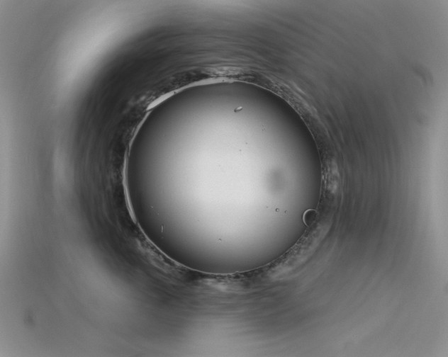 X0000115830763200911131505