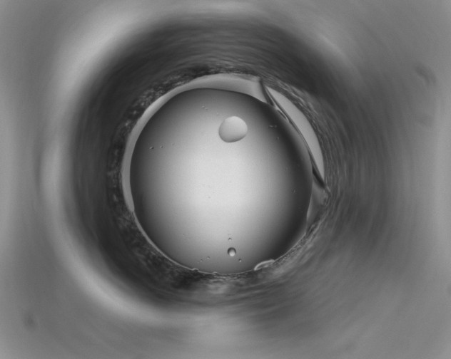 X0000115830766200911131505