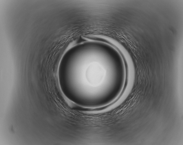 X0000115830769200911131505