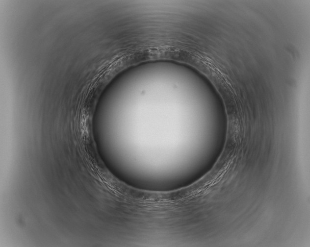 X0000115830770200911131505