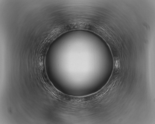 X0000115830771200911131505