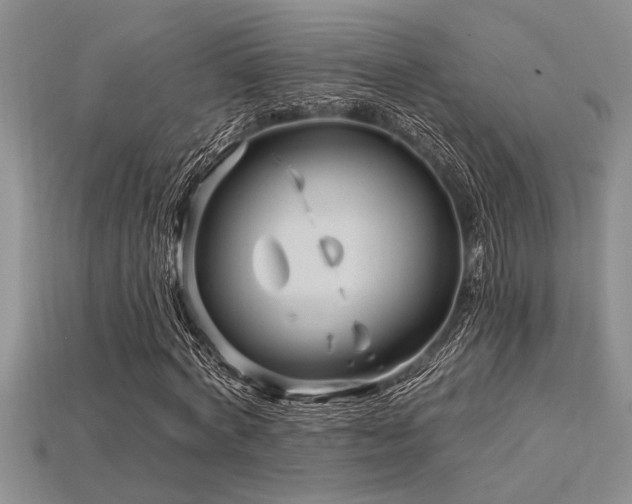 X0000115830772200911131505