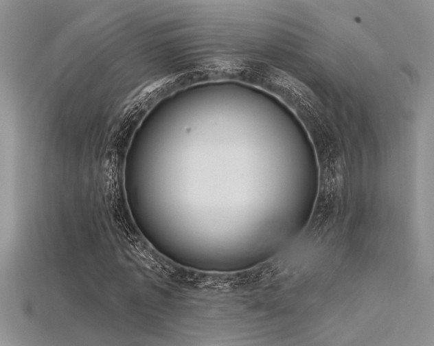 X0000115830773200911131505