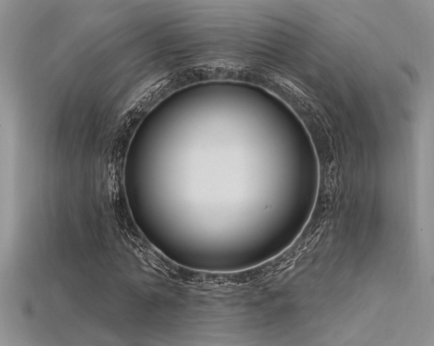 X0000115830774200911131505