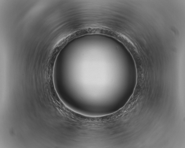 X0000115830775200911131505