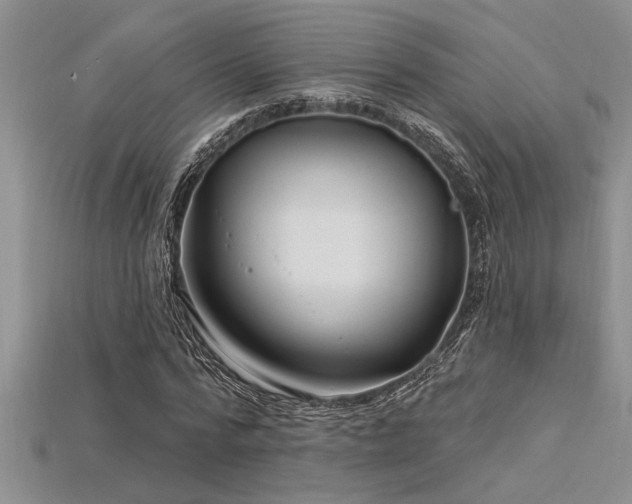 X0000115830776200911131505