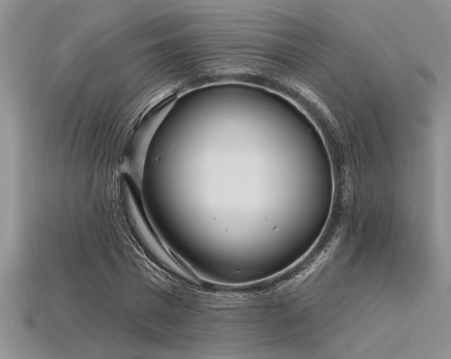 X0000115830777200911131505