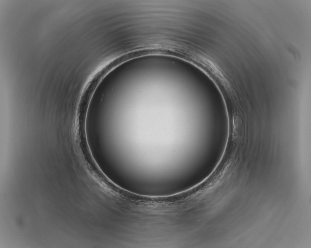 X0000115830780200911131504