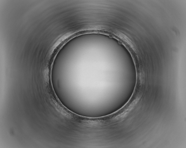 X0000115830781200911131504