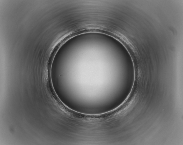 X0000115830782200911131504