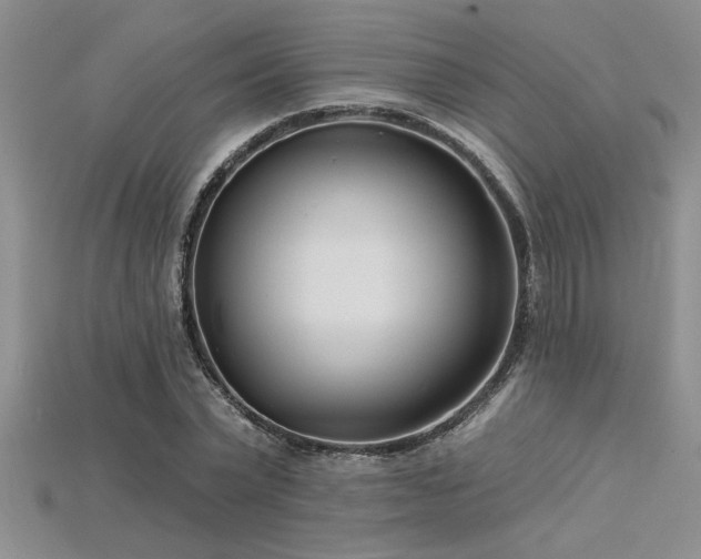 X0000115830783200911131504