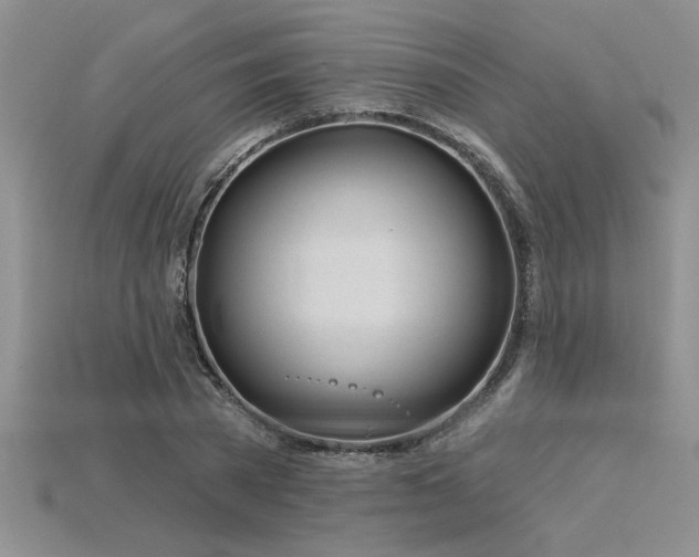 X0000115830785200911131504