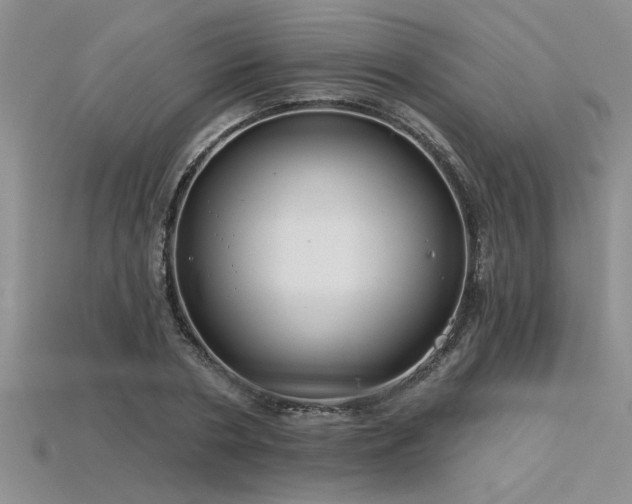 X0000115830786200911131504