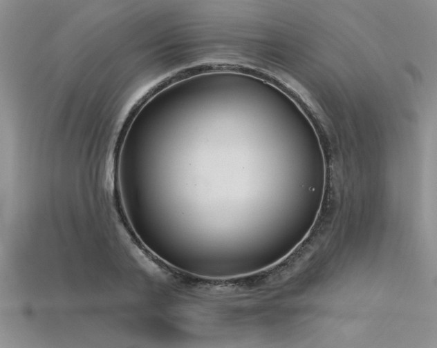 X0000115830791200911131504