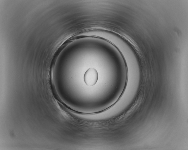 X0000115830793200911131504