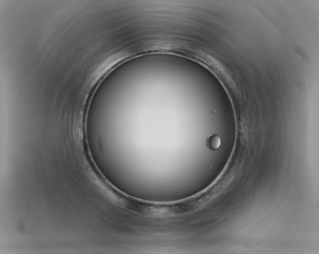 X0000115830794200911131504