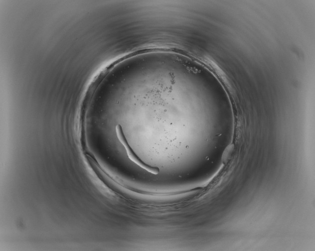 X0000115830795200911131504