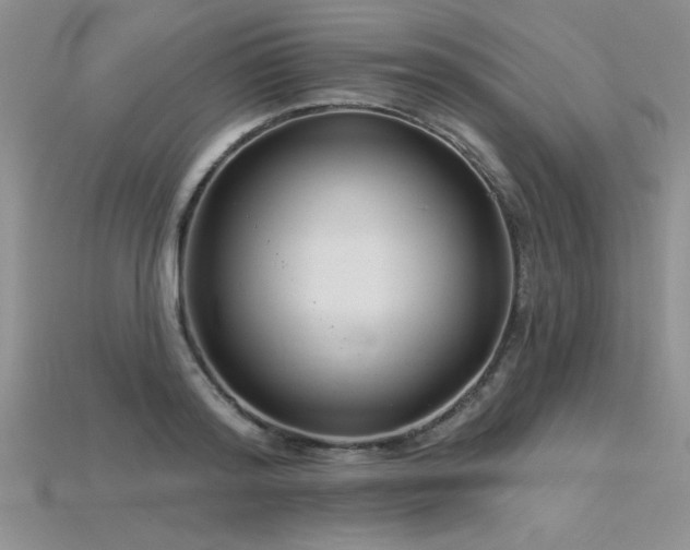 X0000115830796200911131504