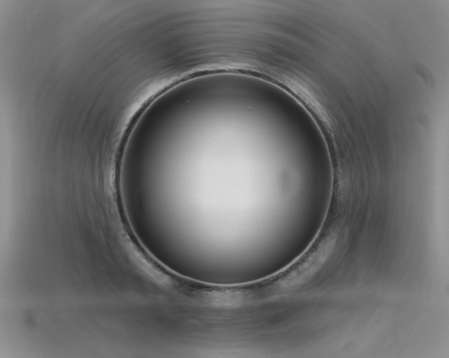 X0000115830797200911131504