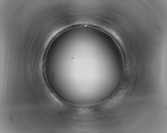 X0000115830799200911131504