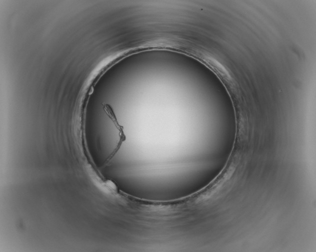 X0000115830800200911131504