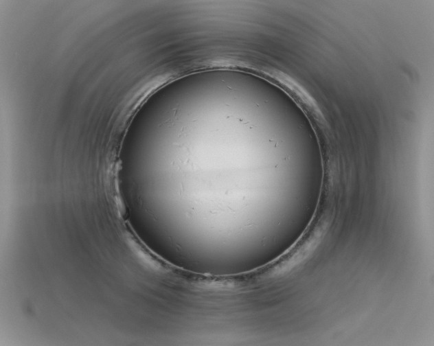 X0000115830801200911131504