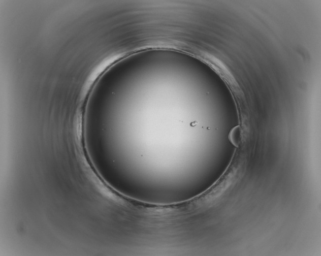 X0000115830804200911131504