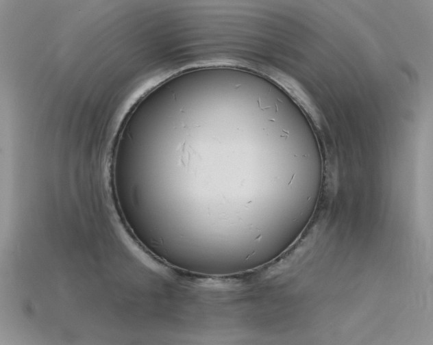 X0000115830805200911131504