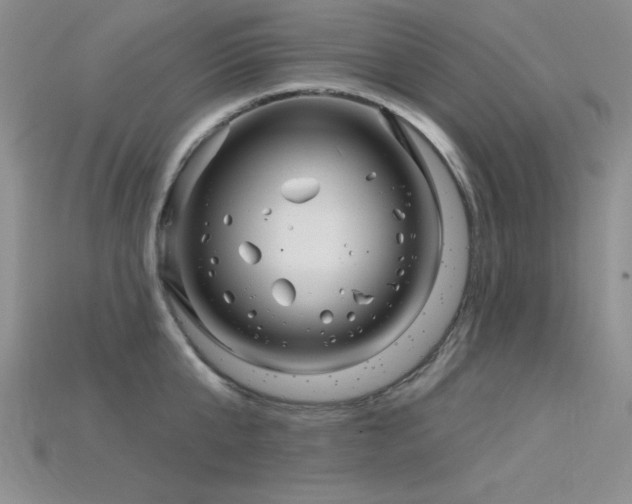 X0000115830807200911131504