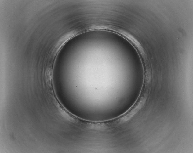 X0000115830809200911131504