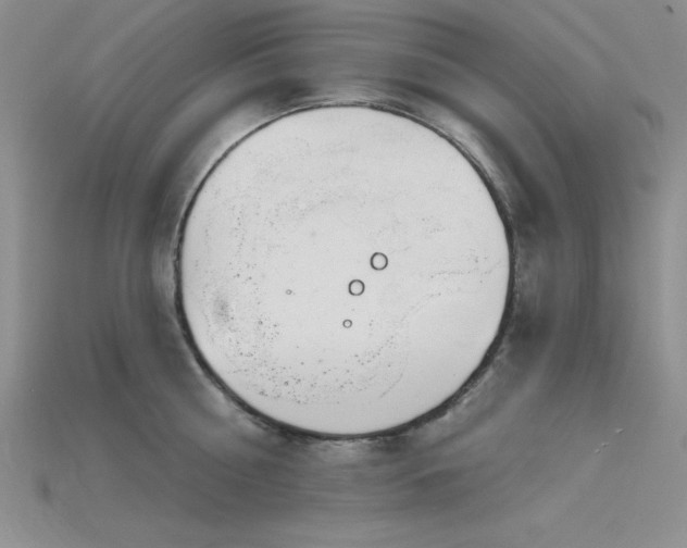 X0000115830810200911131504