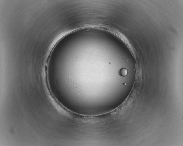 X0000115830811200911131504