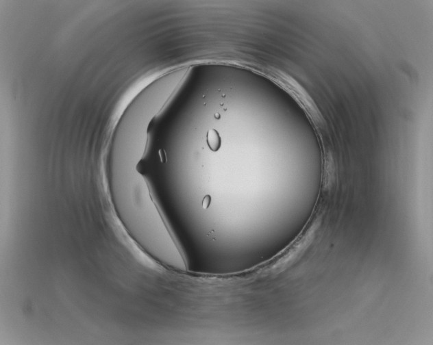 X0000115830812200911131504