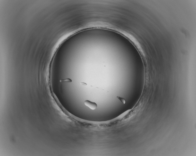 X0000115830815200911131504