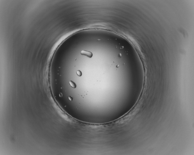 X0000115830816200911131504