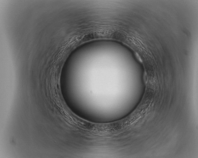 X0000115830817200911131503