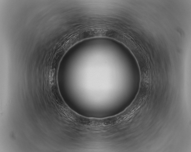 X0000115830818200911131503