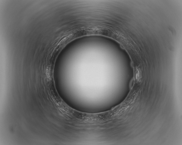 X0000115830819200911131503