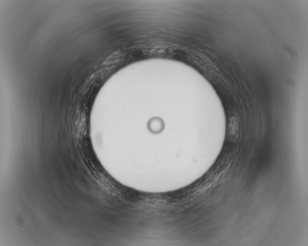 X0000115830820200911131503