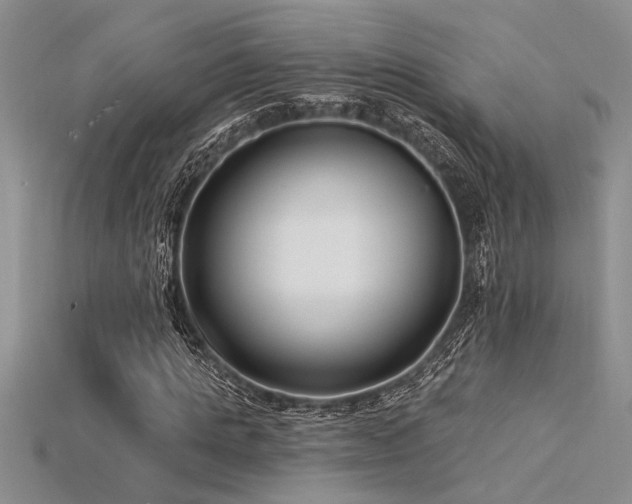 X0000115830821200911131503