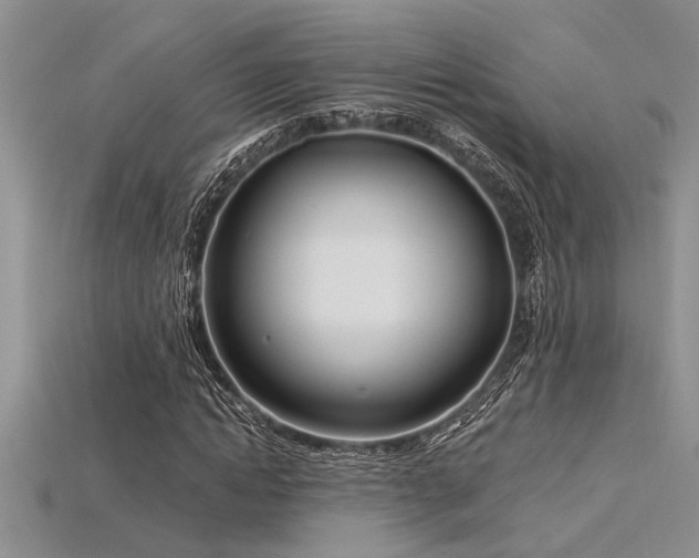 X0000115830822200911131503