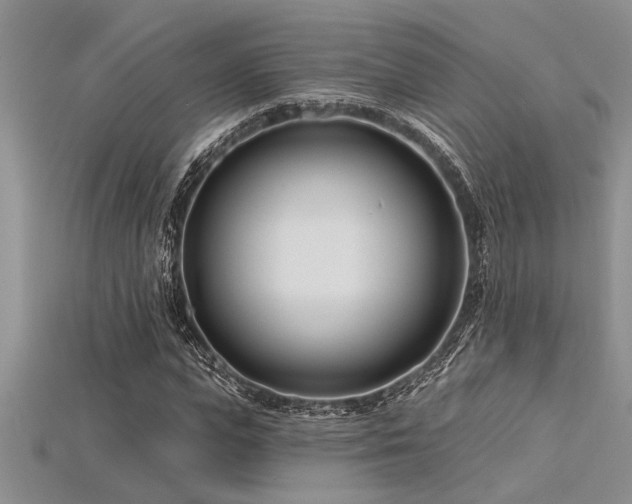 X0000115830823200911131503