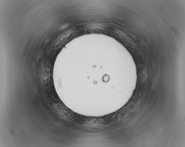 X0000115830824200911131504